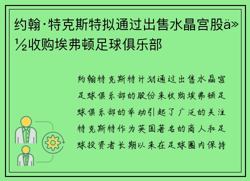 约翰·特克斯特拟通过出售水晶宫股份收购埃弗顿足球俱乐部
